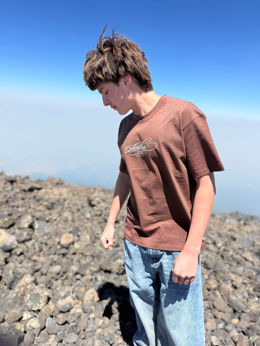 New drop brown Ventra tee
