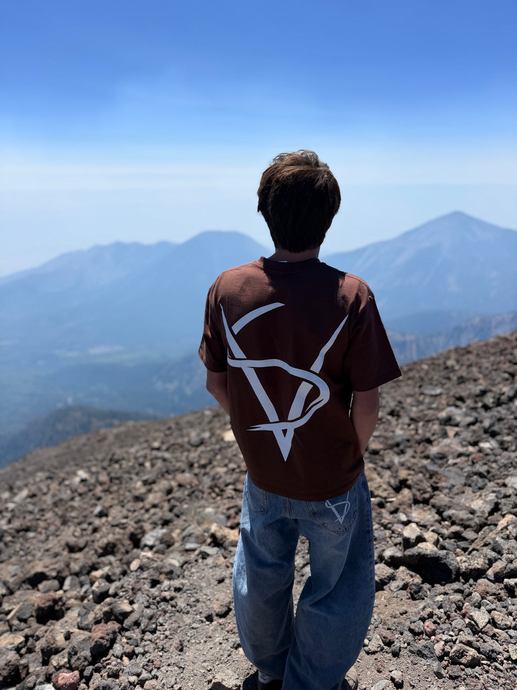 New drop brown Ventra tee