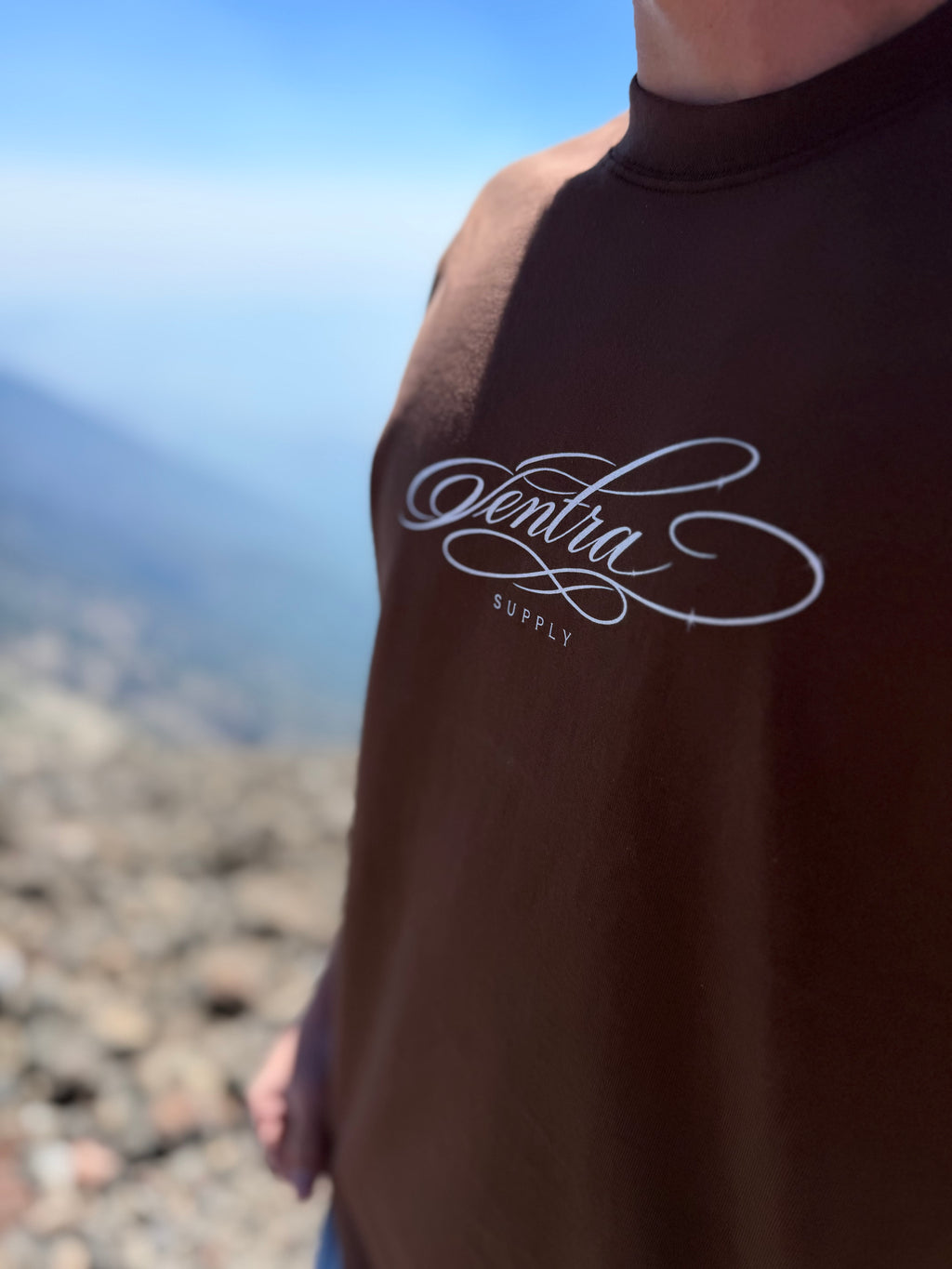 New drop brown Ventra tee